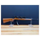 Ruger Model 10/22 rifle