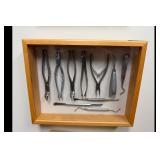 Dental Extraction Tool Set Wooden Display Case