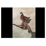 Taxidermy Quail Bird on Wood Perch