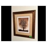 Framed Tree Photograph