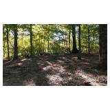 2.5± Wooded Acres on Bloomington