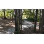 ONLINE AUCTION: 2.5ï¿½ Wooded Acres on Bloomingtonï¿½s East Side