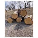 (5) white oak logs, Diameter range