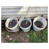 3 Buckets of Nails