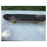 Skate Board