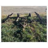 Spike Harrowgator, 20ï¿½