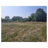 9805 Newmansville Rd.Chandlerville, IL