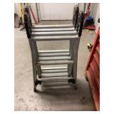 Aluminum Ladder