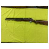 Benjamin Franklin Pellet Gun