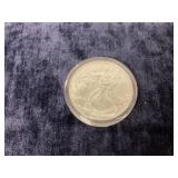 2024 American Silver Eagle Coin 1 ounce fine