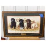 The Greenhorns Labrador Puppies Green Winged Teal