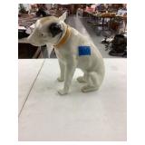 RCA Dog missing one eye