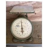 Enders Oak Leaf Scale - Walder, KY USA