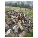 Pile of Hedge Firewood