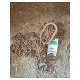 Four Lengths of Chain with Hooks