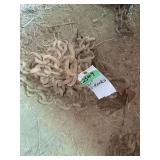 21' Chain with Two Hooks