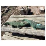 Alligators (2)