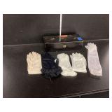 Glove Box & Gloves