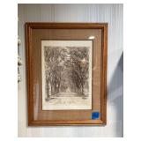 Framed Print of Tree-Lined Road