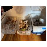 Collection of Assorted Seashells and Mineral Specimens in Storage Bins