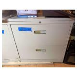 Two-Drawer Metal Filing Cabinet with Assorted Household Contents