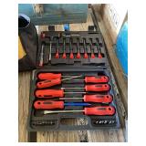Multi-Piece Screwdriver and Bit Set in Carrying Case