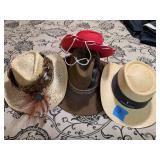 Assorted Collection of Western and Straw Hats