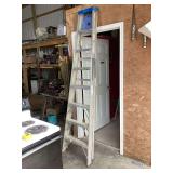 Lot of Two Ladders Including Aluminum Extension Ladder and Werner Fiberglass Step Ladder