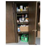 Assorted Paint, Finishes, and Light Bulbs Lot in Cabinet