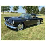 1955 Ford Thunderbird