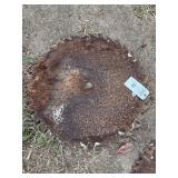 Large Circular Saw Blade with Center Arbor Hole