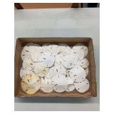 Collection of Natural Dried Sea Dollars