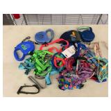 Pet Walking Accessories Lot with Retractable Leashes and Collars