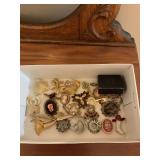 Assorted Costume Jewelry Brooches and Pins Lot