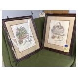 Francis k Wells prints