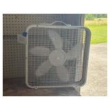 Fan