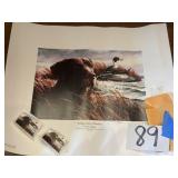 Waterfowl print and stamps