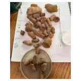 Fossils?