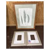 Fern print, frames