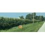 Orlandini Land Auction 328+/- Acres 8/10-9/2, 2025