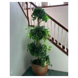Artificial Tree in Large Pot 24'X80' Bring HELP