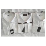 2-Brachrach & 1-Tasso Elba 17X35