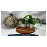 Woven Basket, Tray, Plus Plants