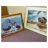 Buffalo & Buffalo/Indian Pictures (2)