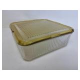 Refrigerator Dish