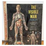 the visible man assembly kit