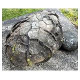 Interesting landscaping rock