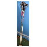 Ski poles