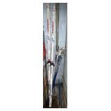 Landsem Skis & Poles