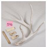 White Tail Deer Antlers